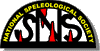 NSS Logo